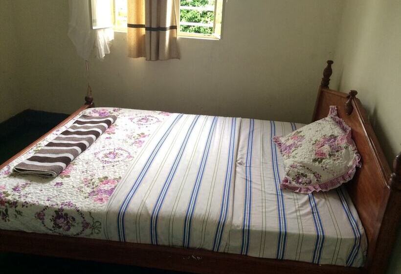 اتاق استاندارد یک تخته با سرویس بهداشتی مشترک, East Africa Amazon Guest House