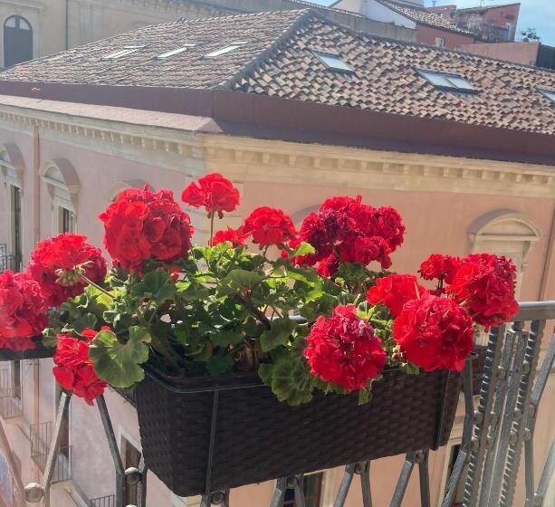 اتاق استاندارد با تخت بزرگ, B&b Oriental Palace