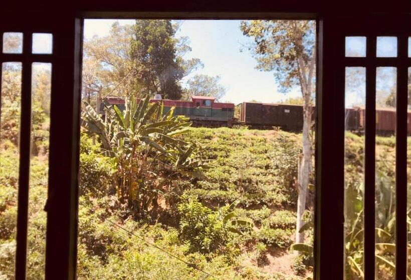 Президентский Люкс, Train View Chalet