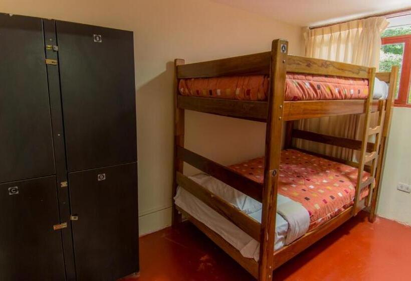 اتاق استاندارد با سرویس بهداشتی مشترک, Casa Machu Picchu Hostel