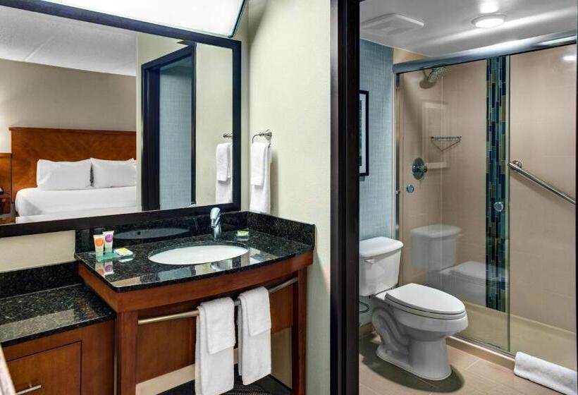 스탠다드 룸 킹사이즈 침대, Hyatt Place Secaucus