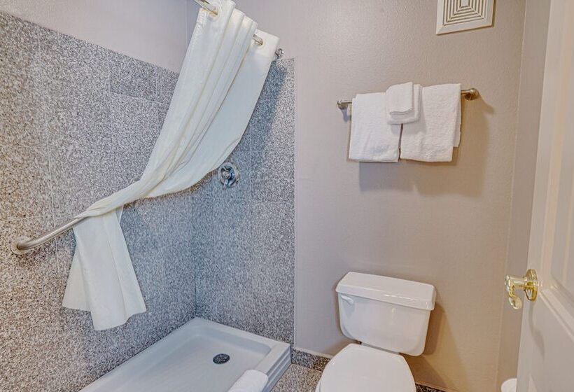 Полулюкс, The Ashley Inn & Suites