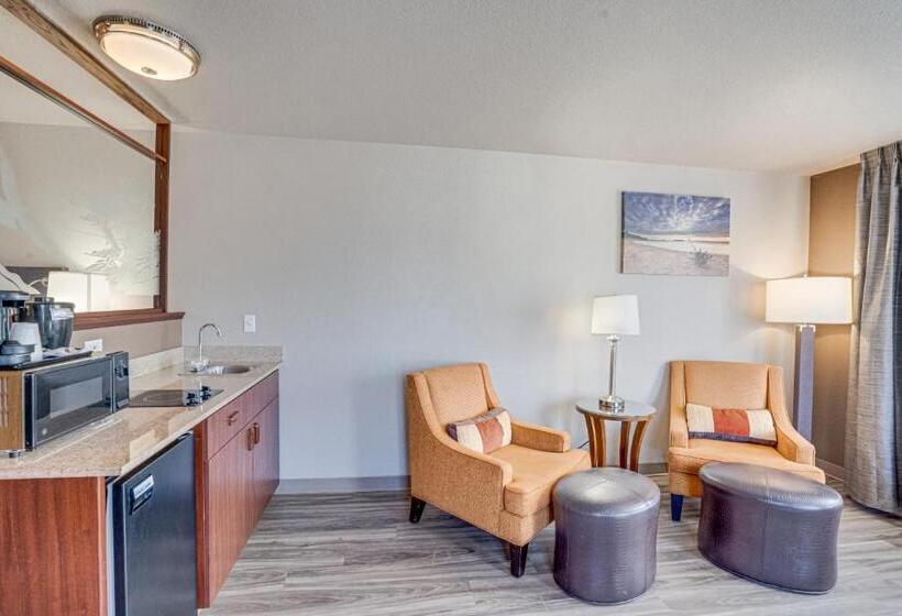 Люкс Кровать Кинг, The Ashley Inn & Suites