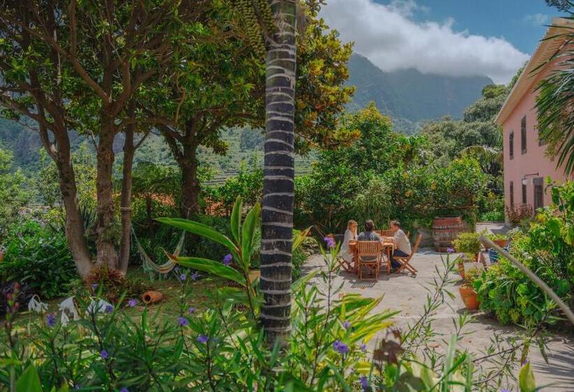 اتاق استاندارد, Madeira Surf Lodge