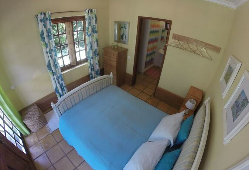 اتاق استاندارد, Madeira Surf Lodge
