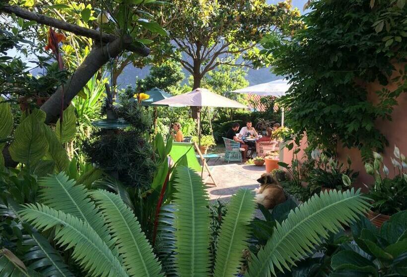 Quarto Estandar, Madeira Surf Lodge