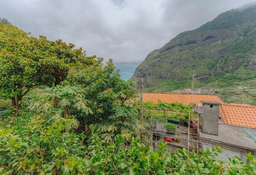 اتاق استاندارد, Madeira Surf Lodge