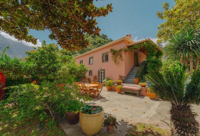 اتاق استاندارد, Madeira Surf Lodge