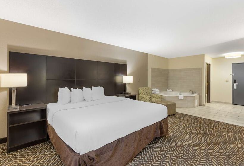 Номер Стандарт Двуспальная Кровать, Best Western St. Louis Inn