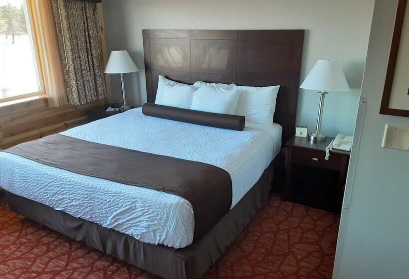 스탠다드 룸, Quality Inn