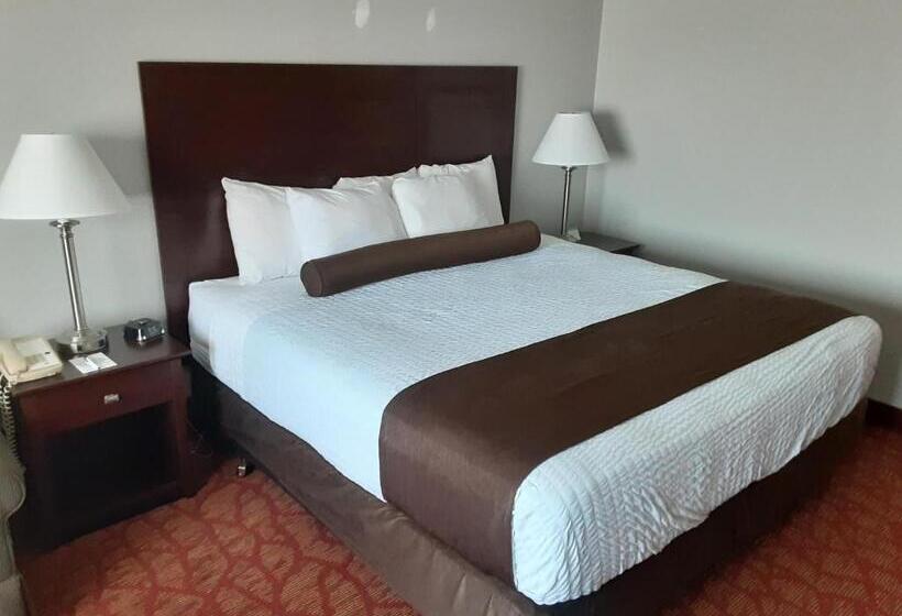패밀리 룸, Quality Inn