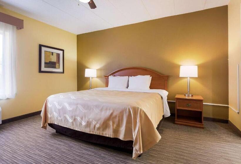 Deluxe Suite King Bed, Quality Inn & Suites Cvg Airport