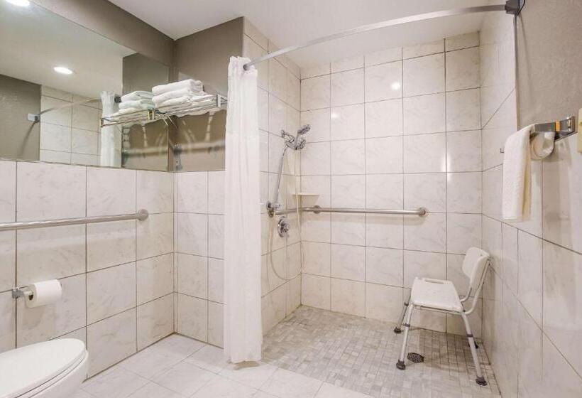 Номер Стандарт Адаптированный для Инвалидов, Quality Inn & Suites Cvg Airport