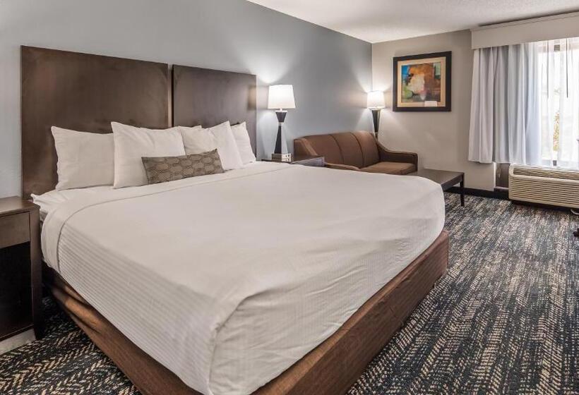 اتاق استاندارد با تخت بزرگ, Best Western Inn Florence