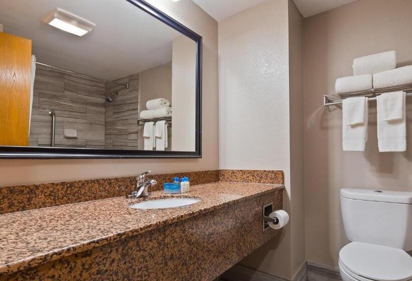 اتاق استاندارد با تخت بزرگ برای معلولان, Best Western Inn Florence