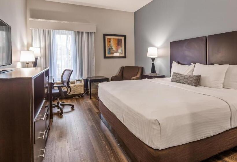 اتاق استاندارد با تخت بزرگ برای معلولان, Best Western Inn Florence