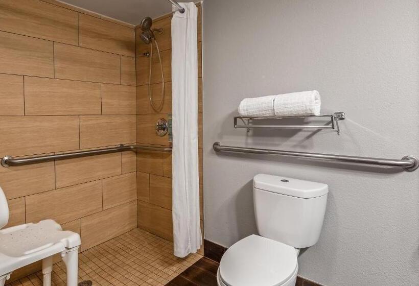اتاق استاندارد با تخت بزرگ برای معلولان, Best Western Inn Florence