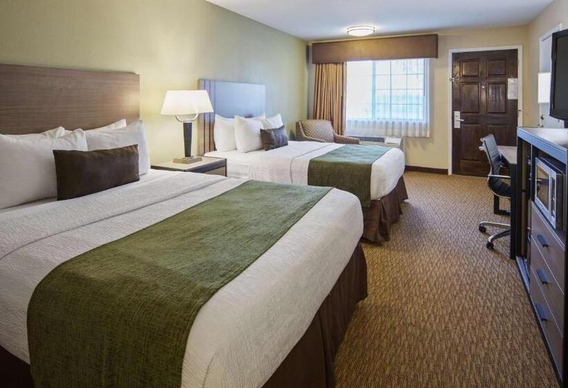 标准间, Best Western Inn Of Brenham