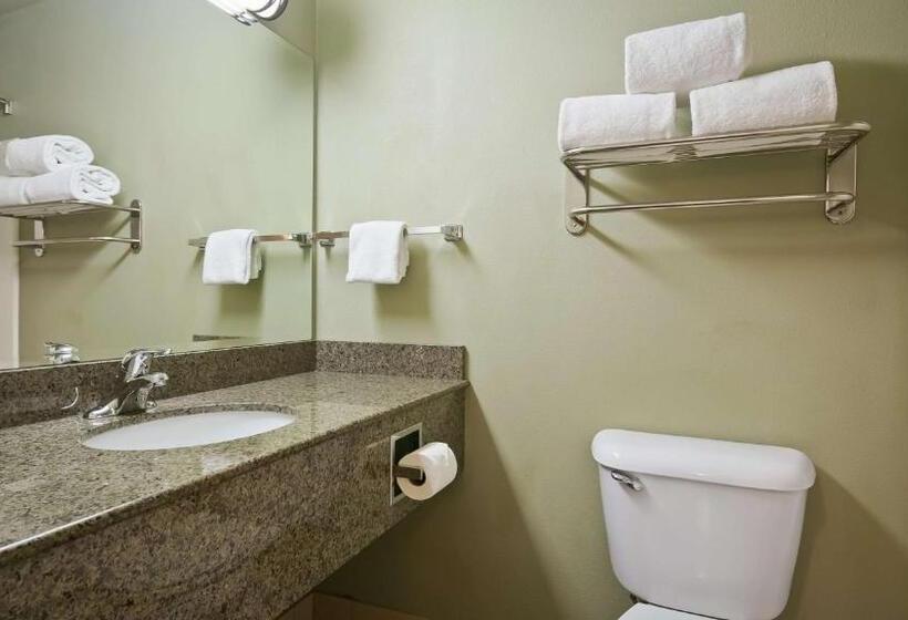 اتاق استاندارد با تخت بزرگ, Best Western Plus Kennewick Inn