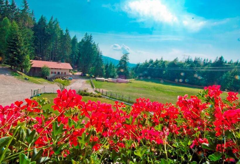 Номер Стандарт Вид на Горы, Gasthof Schneiderwiesen