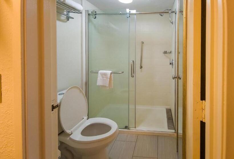 Quarto Superior Cama King, Red Roof Inn Tallahassee East