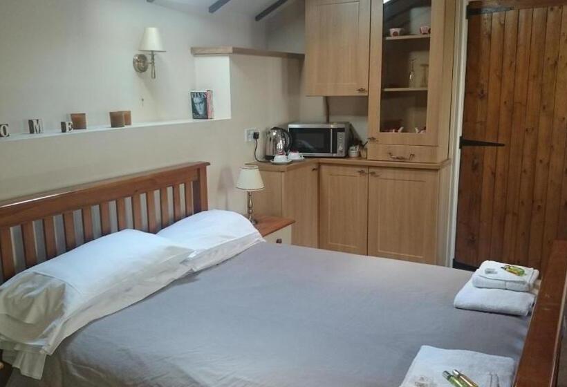 Quarto Deluxe, The New Swan