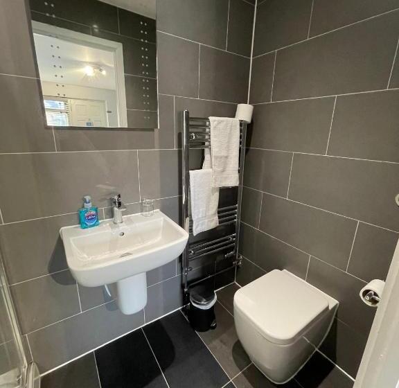 小型套房, Arlan House, Central Basingstoke