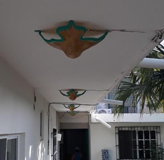 استودیوی استاندارد, Bea Rooms And Studios