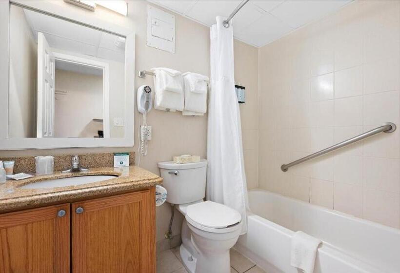 اتاق استاندارد اینتریور, Carousel Resort Hotel And Condominiums