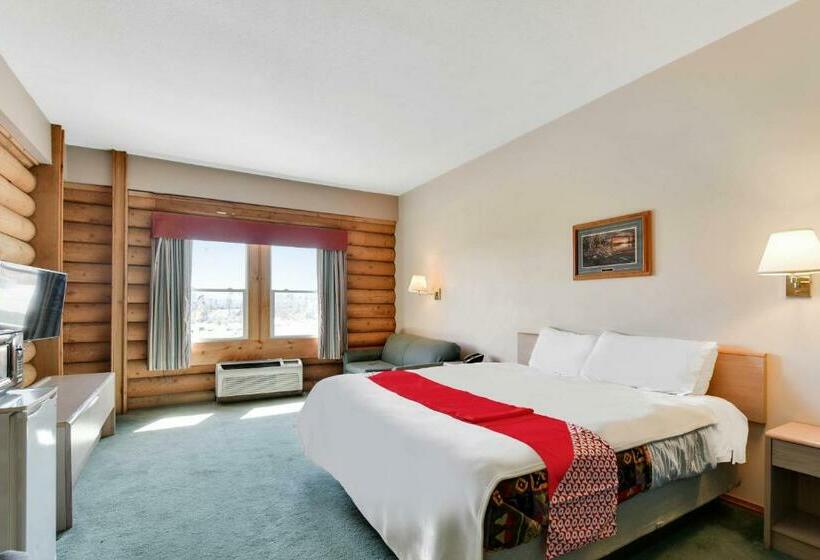 اتاق استاندارد با تخت بزرگ, Casa Loma Economy Inn