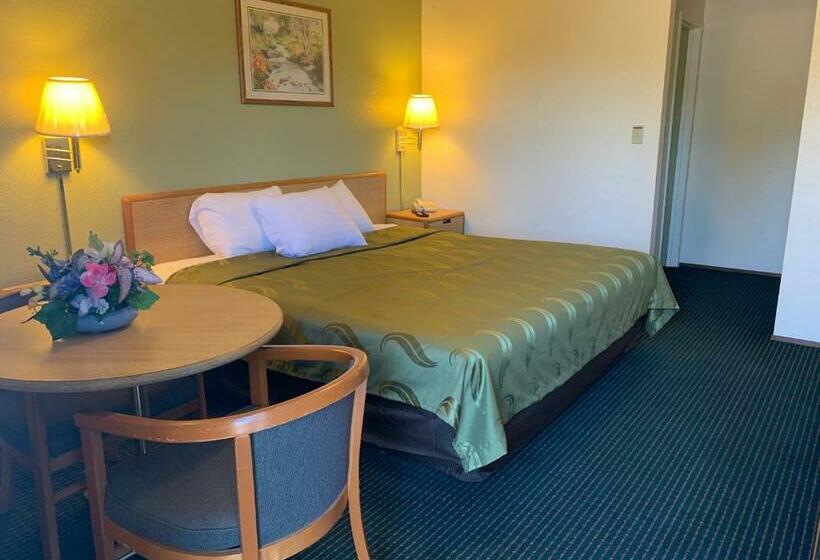 스탠다드 룸 킹사이즈 침대, Regency Inn Lakeport