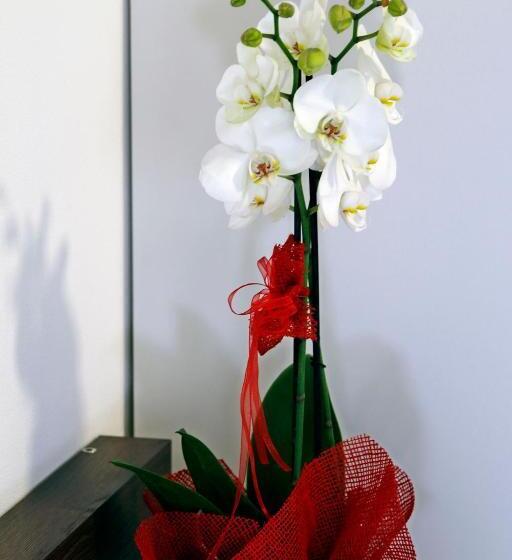 اتاق لوکس سه تخته, B&b I Lake It Bellagio