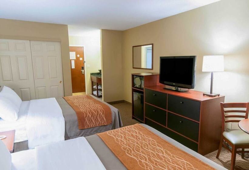Номер Стандарт 2 Двуспальные Кровати, Comfort Inn Amish Country