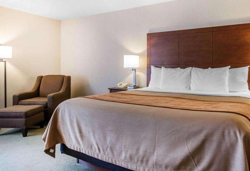 스탠다드 룸 킹사이즈 침대, Comfort Inn Salida