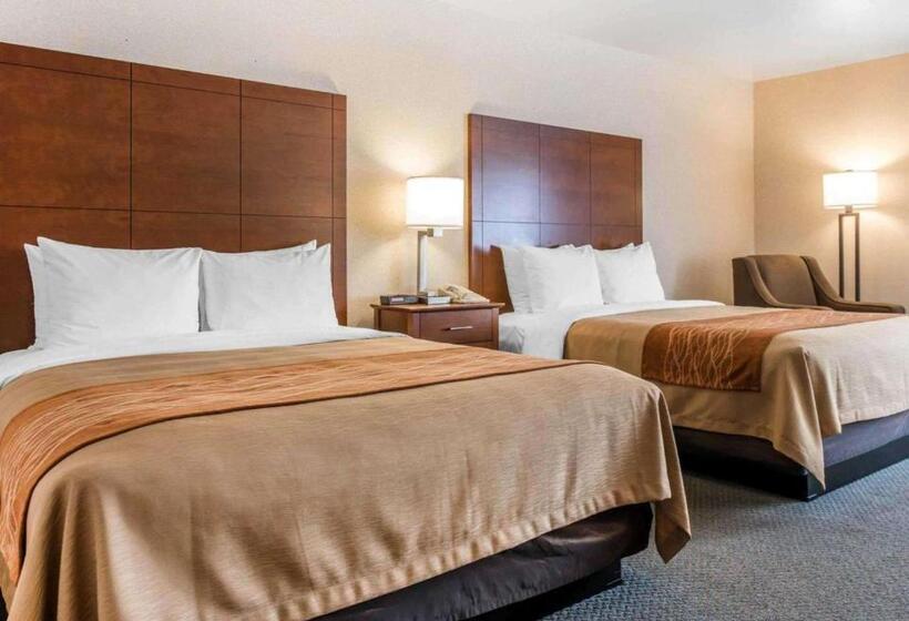 스탠다드 룸, Comfort Inn Salida