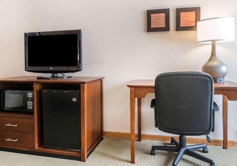스탠다드 룸 킹사이즈 침대, Comfort Inn Salida