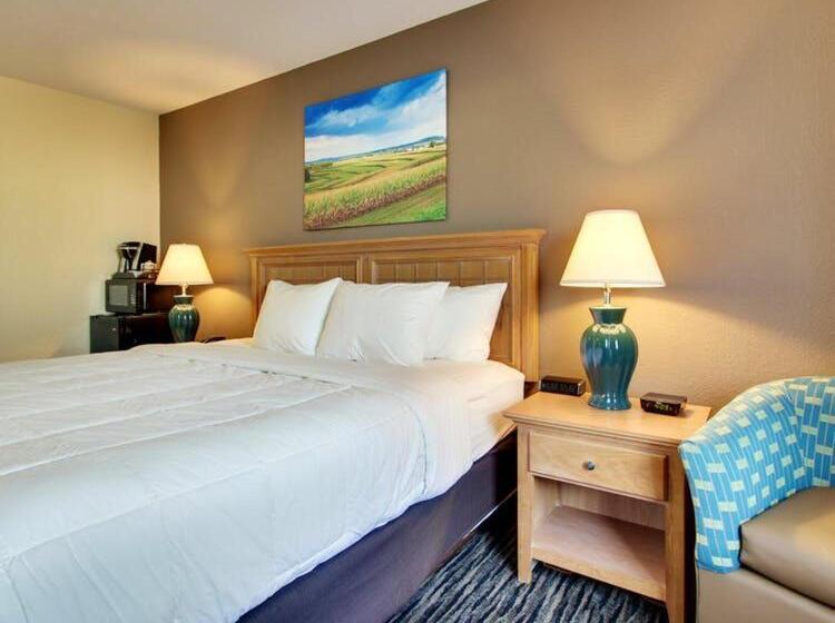 Номер Стандарт Индивидуальный, Everspring Inn & Suites