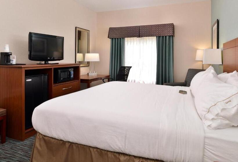 스탠다드 룸 킹사이즈 침대, Holiday Inn Express & Suites St Marys, An Ihg