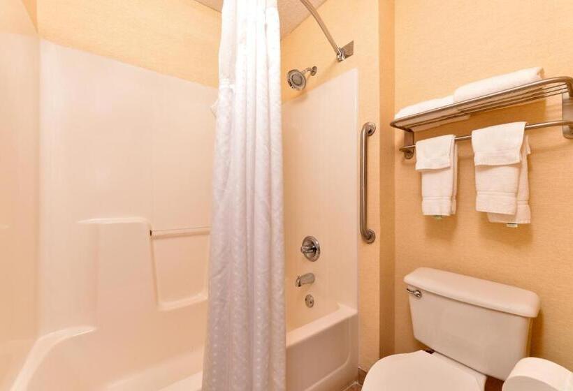 장애인을 위한 킹사이즈 침대 스탠다드 룸, Holiday Inn Express & Suites St Marys, An Ihg