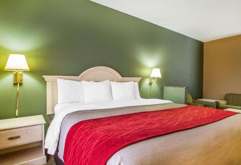 带大床的标准间, Quality Inn Columbia