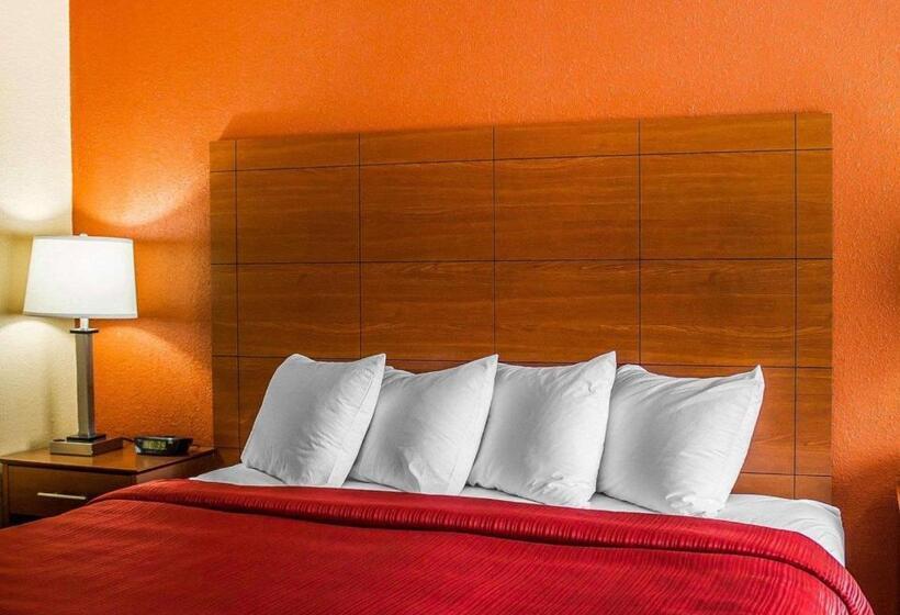 스탠다드 룸 킹사이즈 침대, Quality Inn Manitowoc