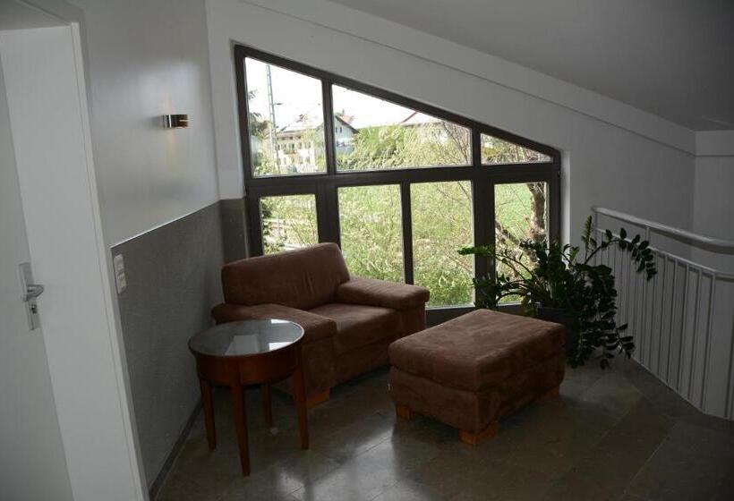 إستوديو قياسى, Alpina Home