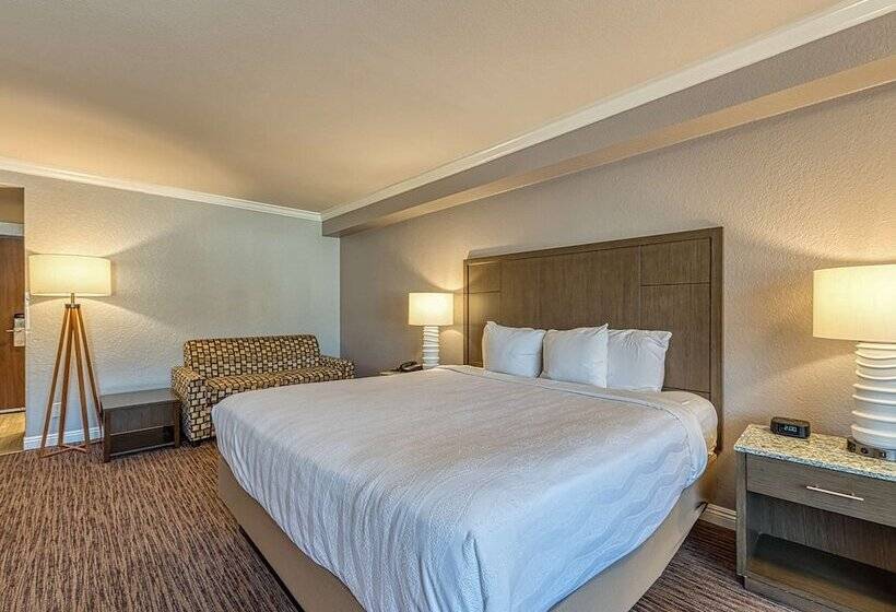 Номер Стандарт Двуспальная Кровать, Amanzi Hotel, Ascend Hotel Collection