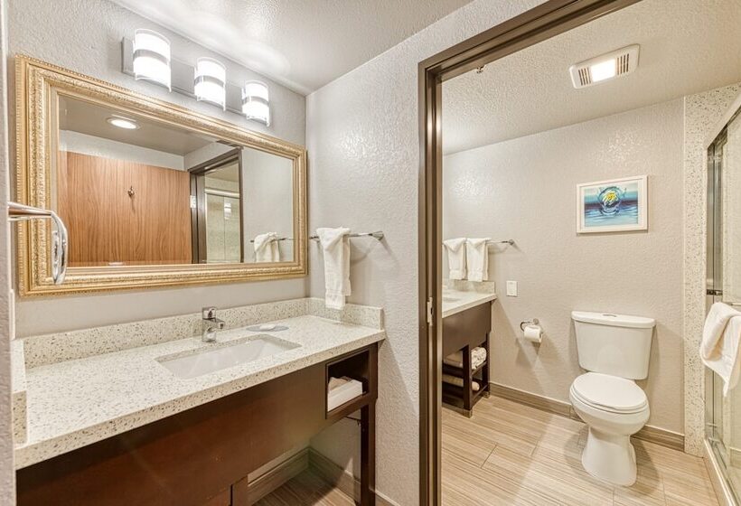 Номер Стандарт 2 Двуспальные Кровати, Amanzi Hotel, Ascend Hotel Collection