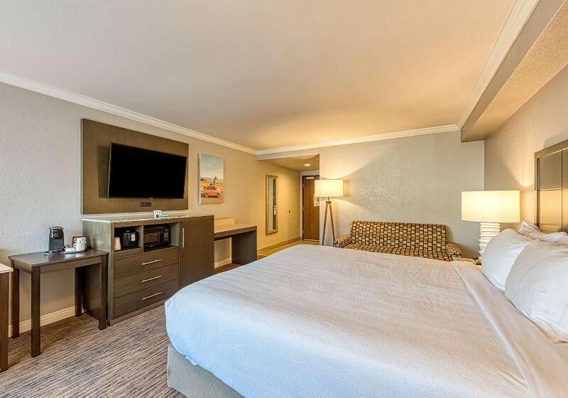 Номер Стандарт Кровать Кинг Адаптированный для Инвалидов, Amanzi Hotel, Ascend Hotel Collection