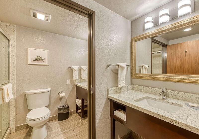 Стандартный Номер Кровать Кинг, Amanzi Hotel, Ascend Hotel Collection