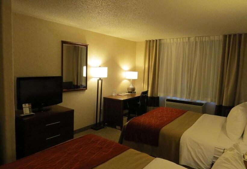 标准间, Comfort Inn North  Air Force Academy Area