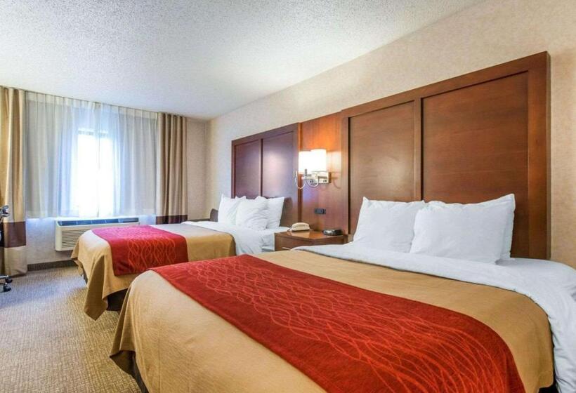 豪华房间, Comfort Inn North  Air Force Academy Area