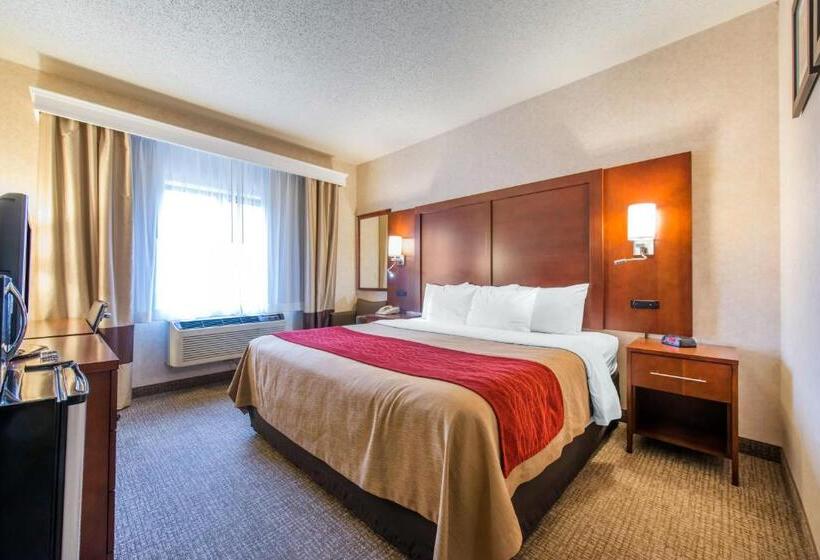 带大床的豪华间, Comfort Inn North  Air Force Academy Area
