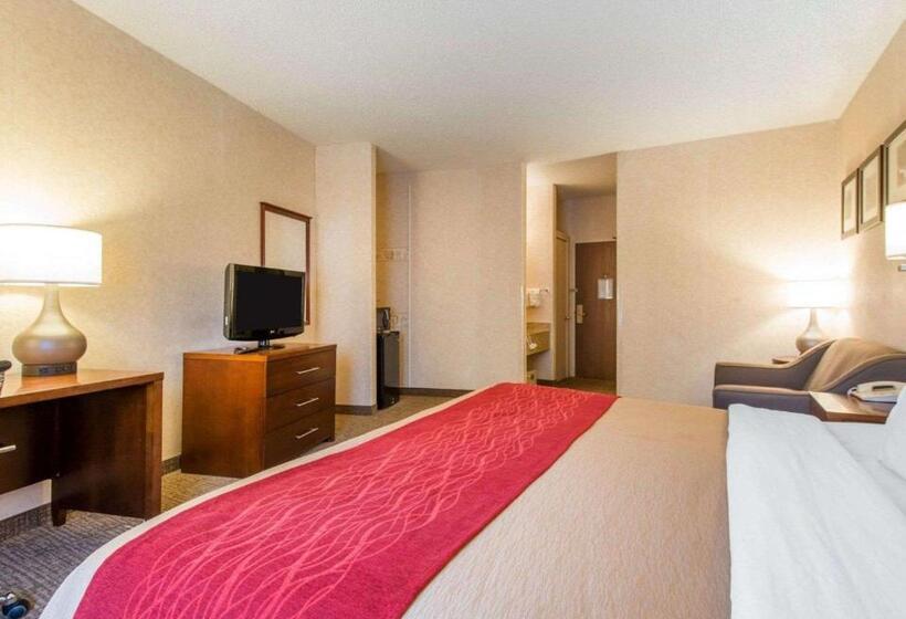 带大床的套房, Comfort Inn North  Air Force Academy Area